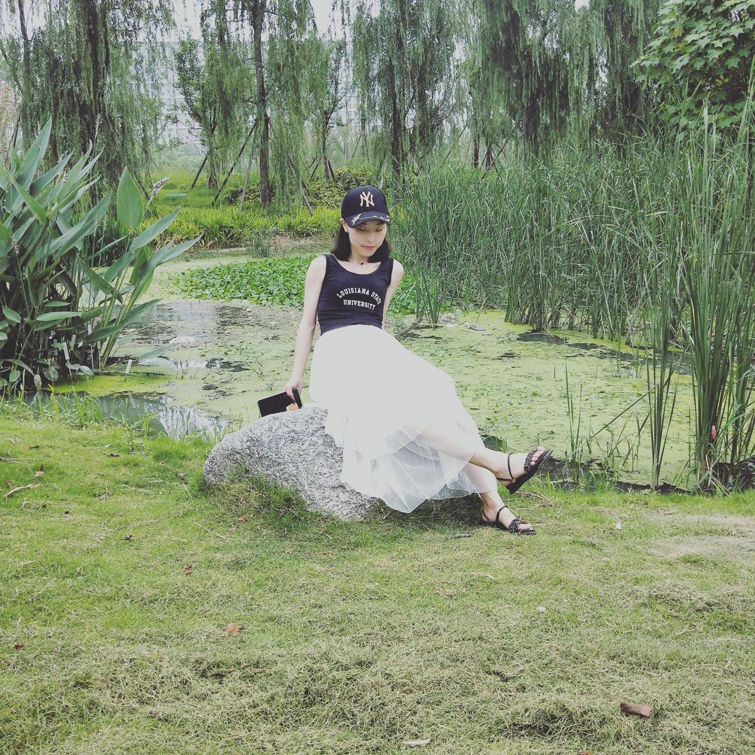 小黑菊