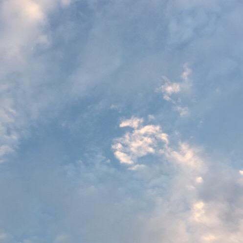 🌈🌈、风继续吹。