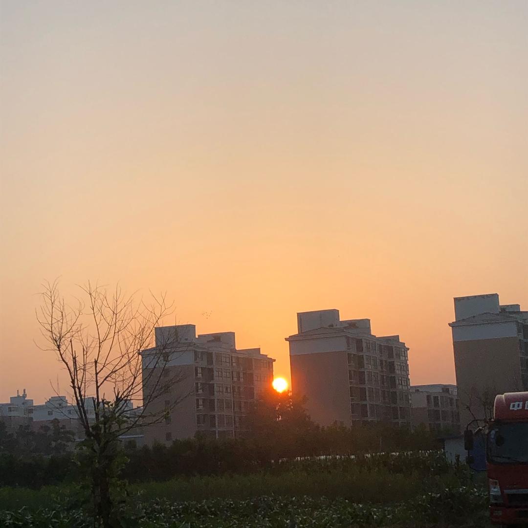 雅俗