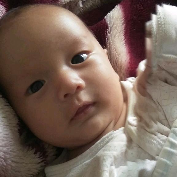 风声水起靠自己