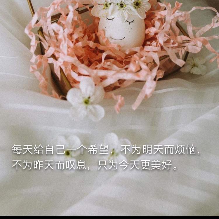 我心向明月