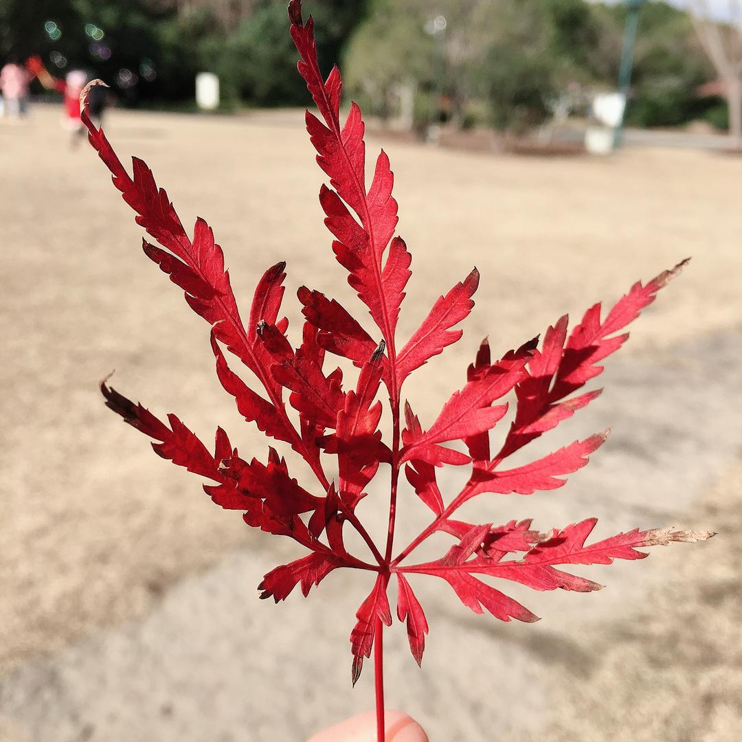_小阔耐吖_