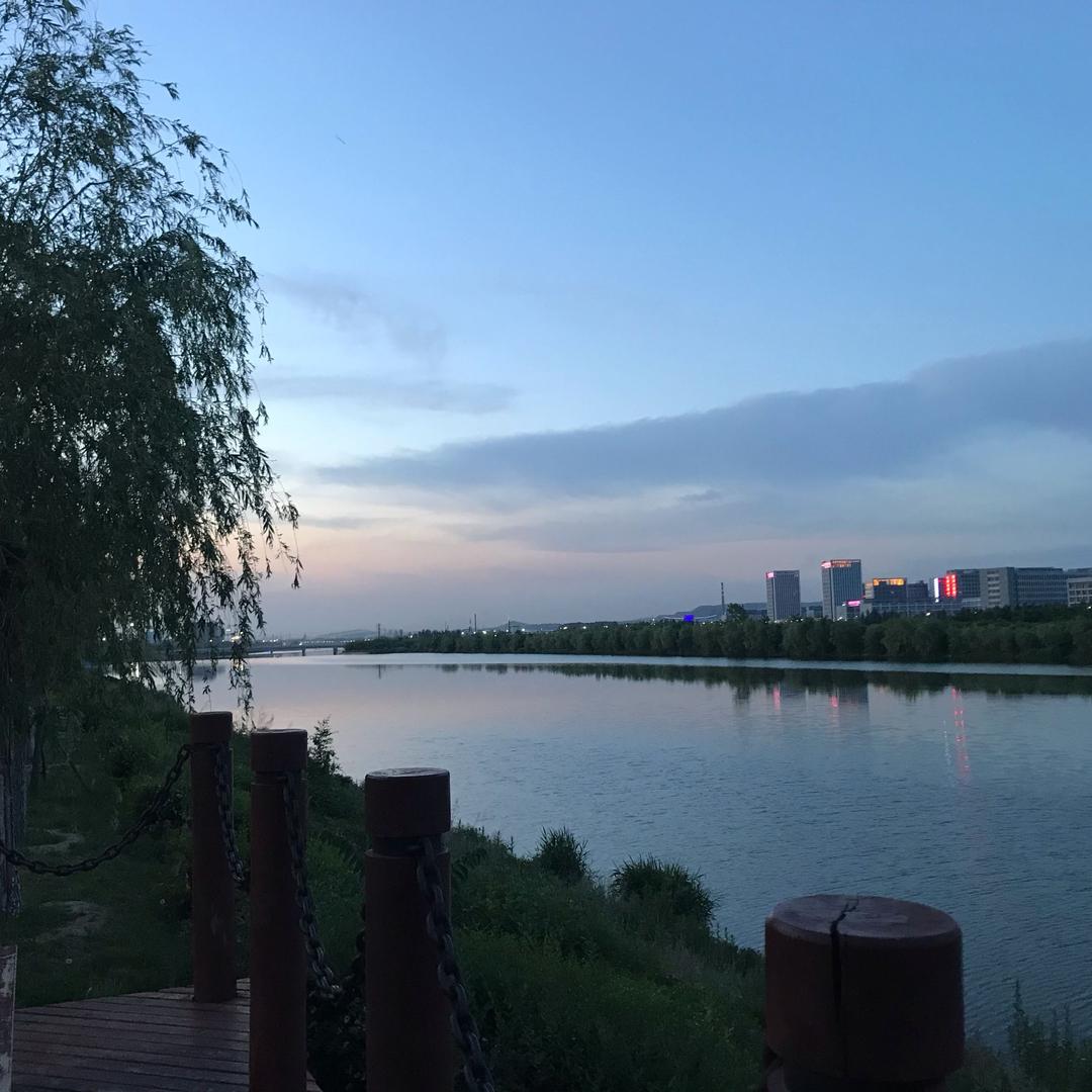 新