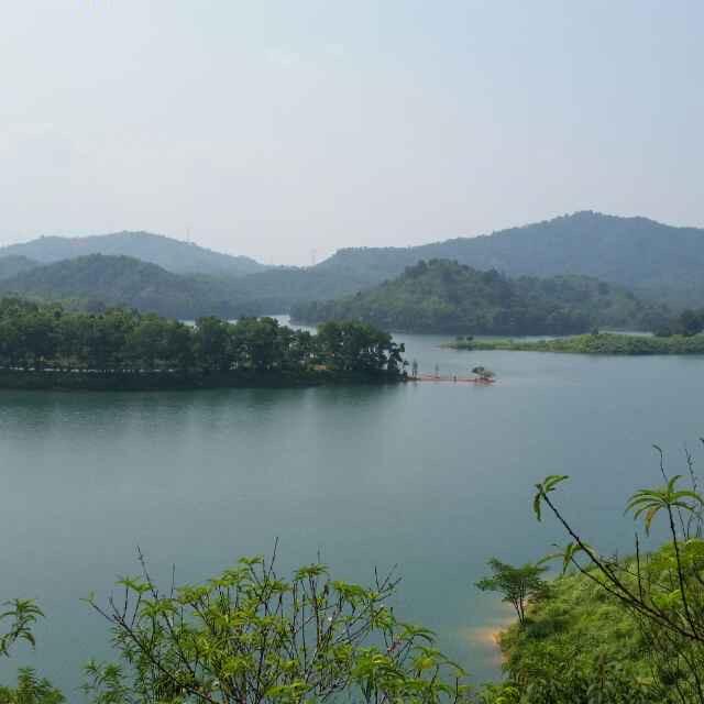 如意如意随我心意