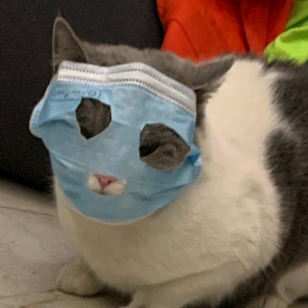 虾米