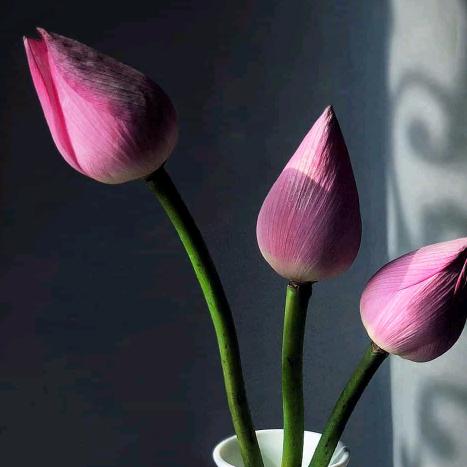 瓦尔塔蓄电池特约经销商王玉海