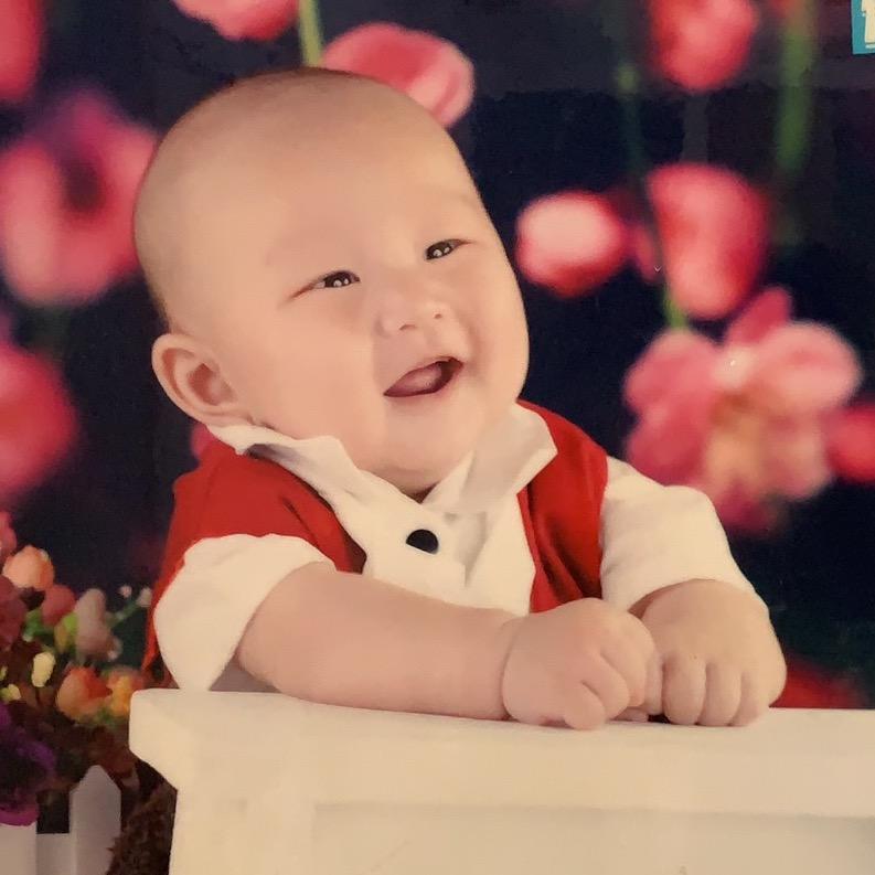 小绵羊