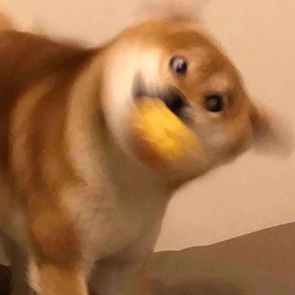 似初