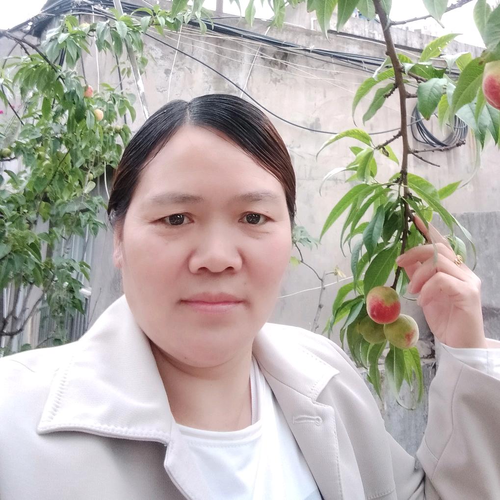 已重置