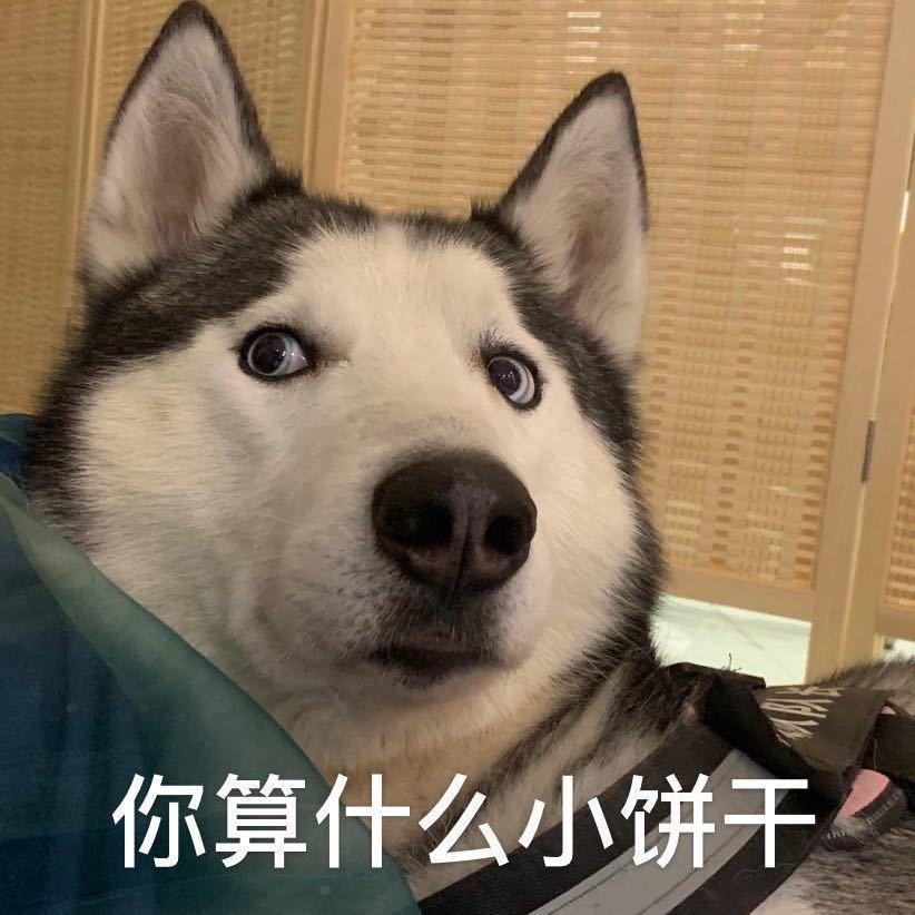 海桐桐桐桐桐