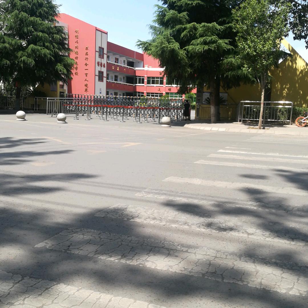 老贾