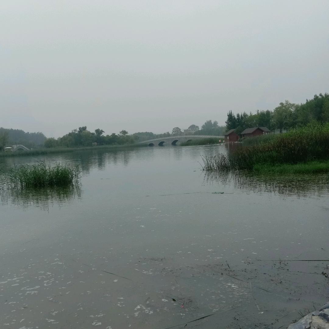 开心