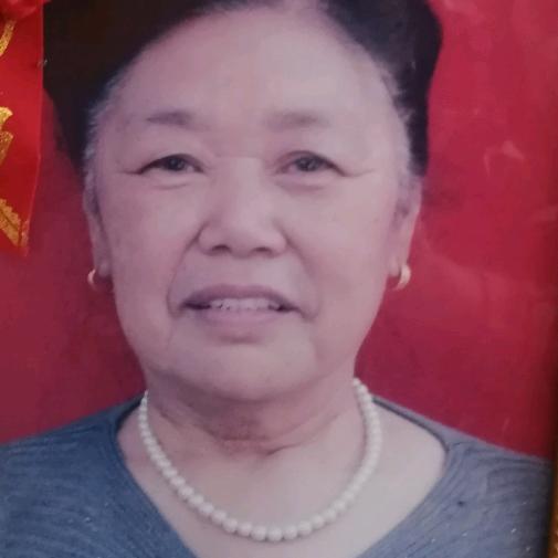 老来乐赵