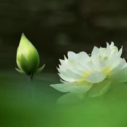 琳琳姐