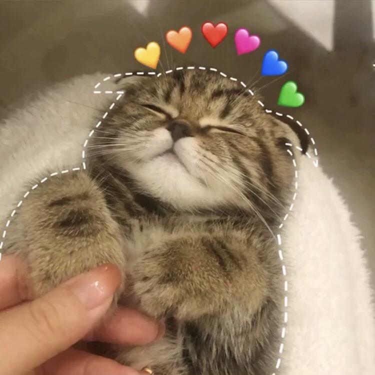 萌倒众生〆