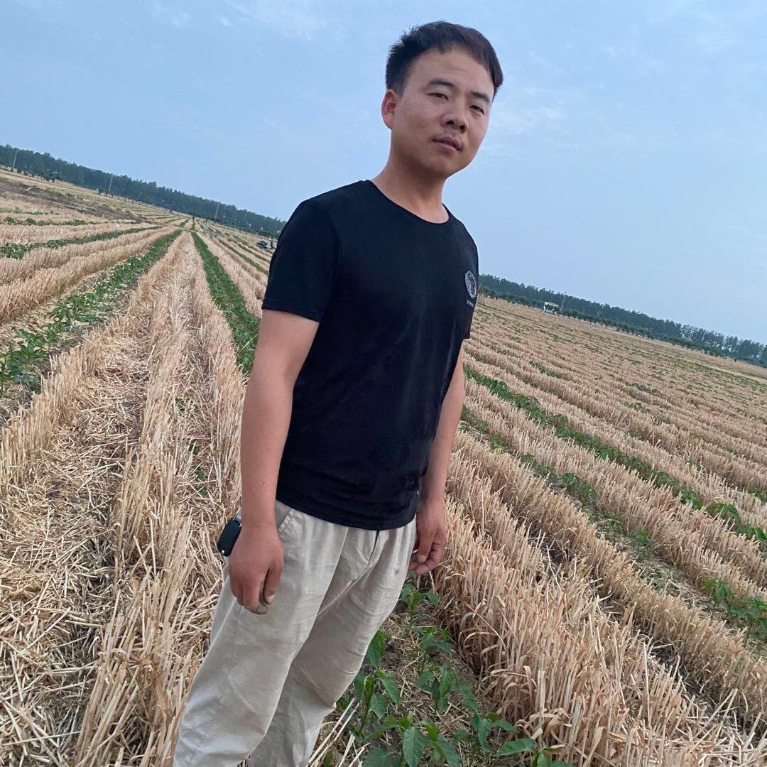 临颍县鸿升种植专业合作社
