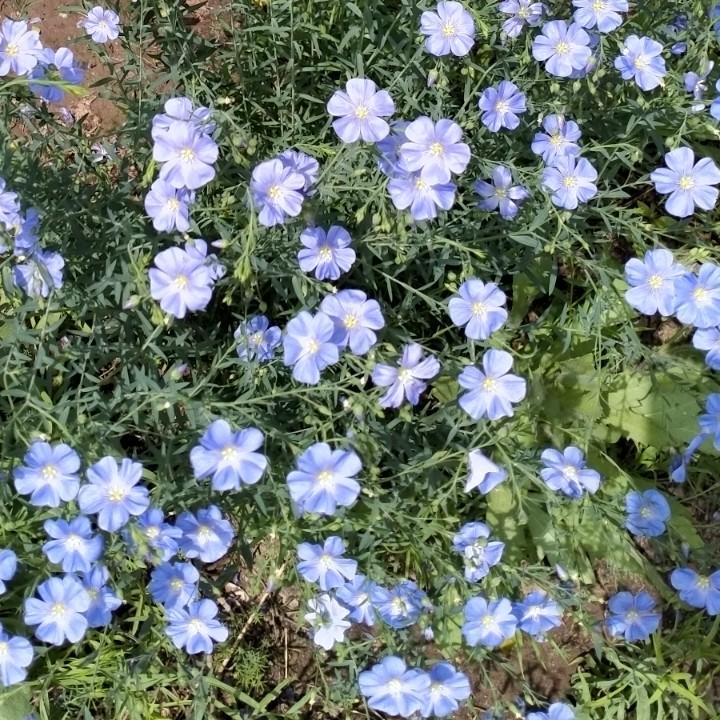 夏天的风，