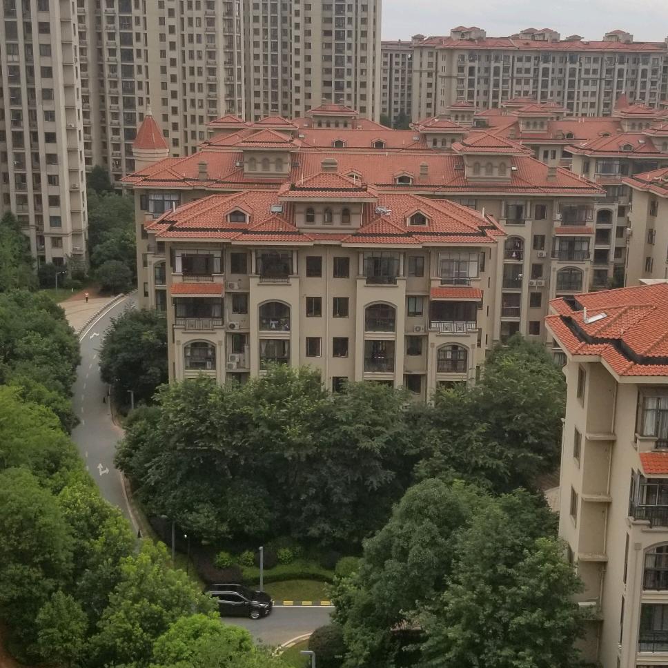 龙虎山木业