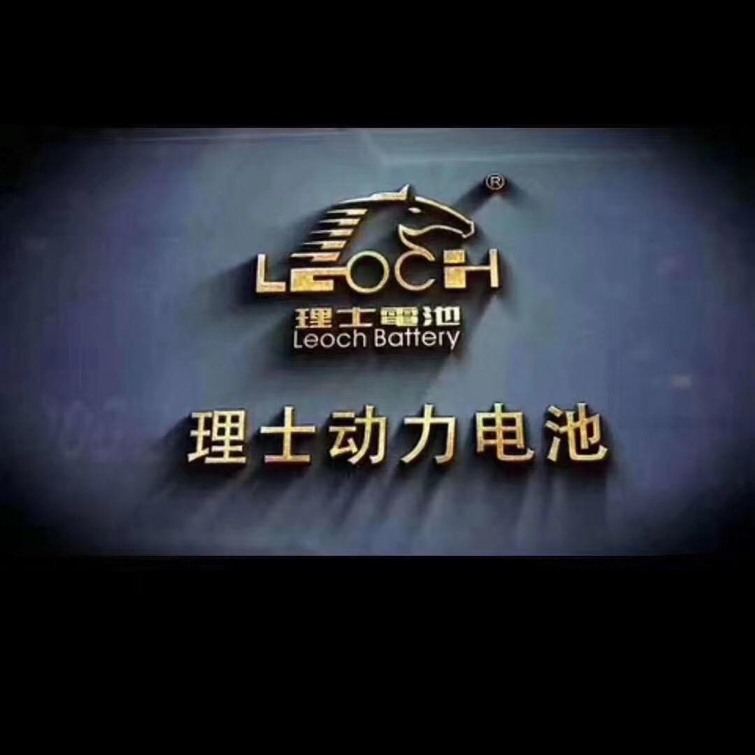 南京市溧水区理士国际电池总代理