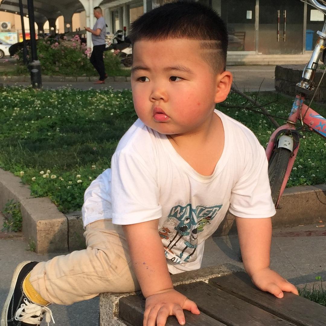 胖崽