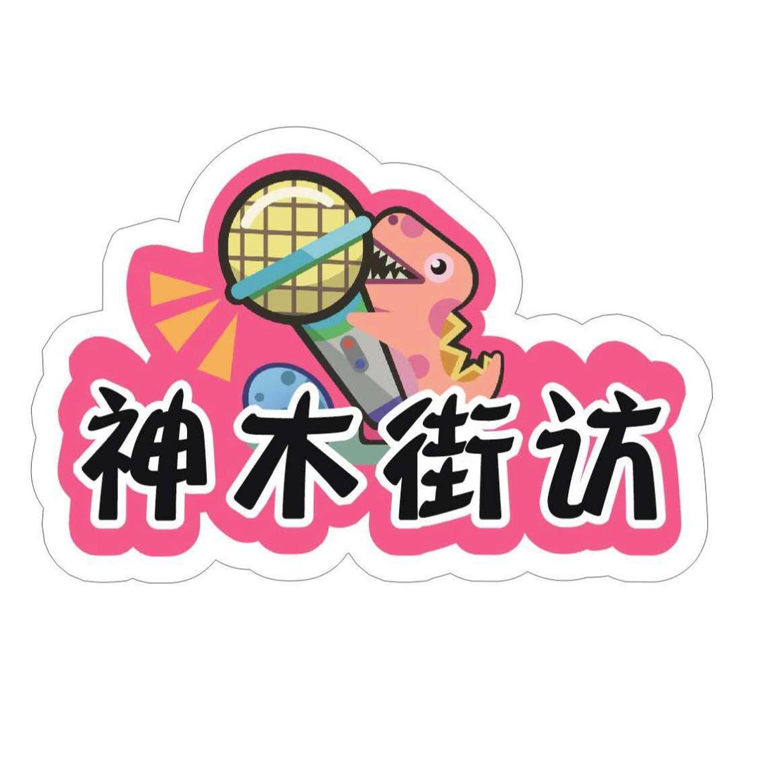 神木街访