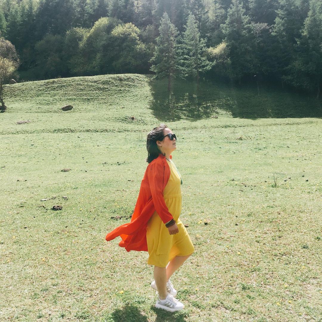 天山雪莲