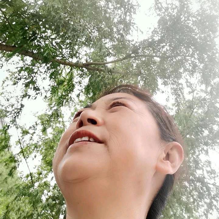感恩所有
