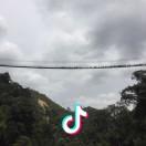 老子就是拽^v^有种你砍我