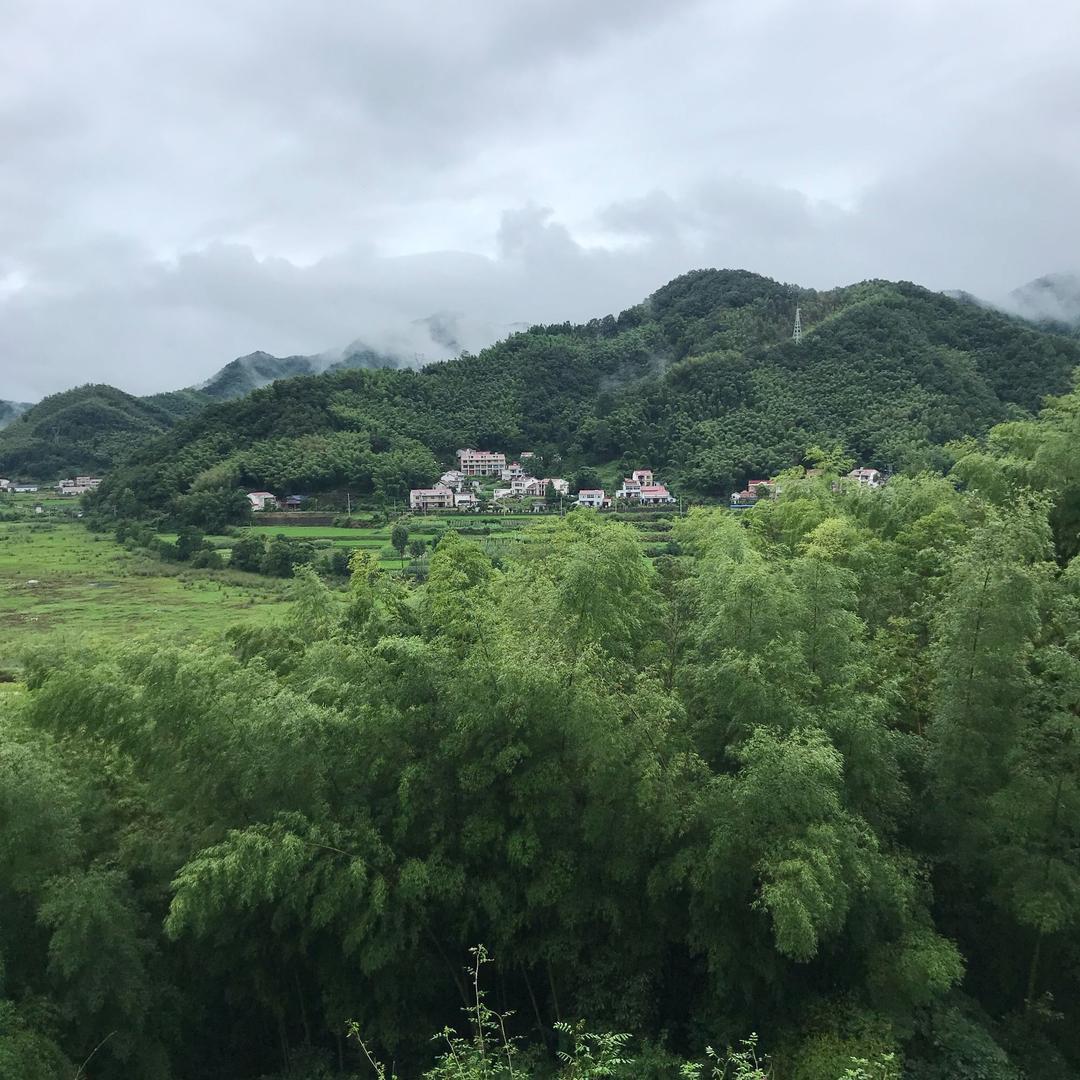 纵横四海^_^