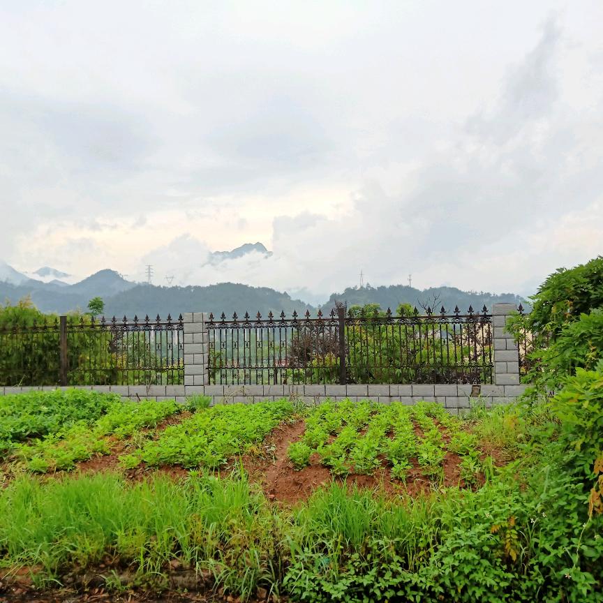 细雨听风