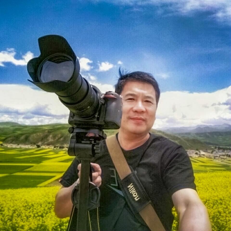 陶论太和