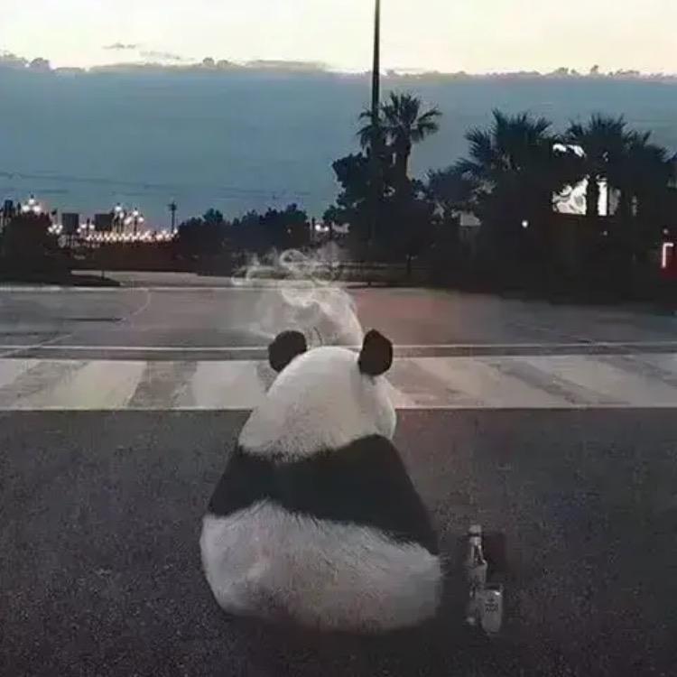 久睡成瘾。