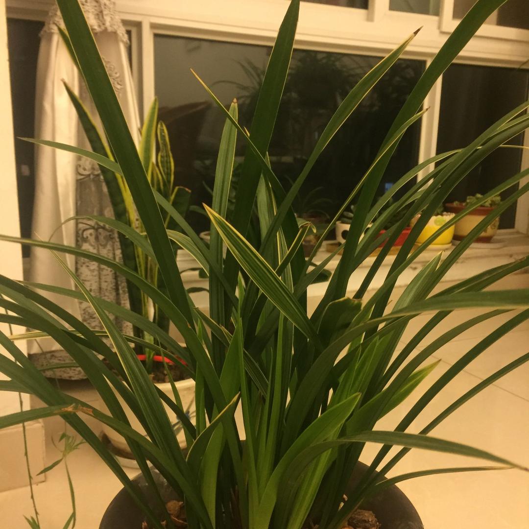 谁懂我