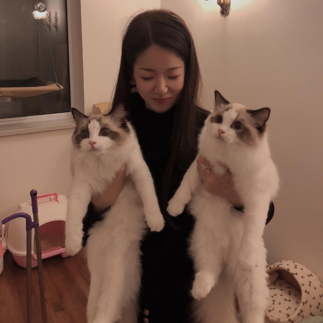 有只猫叫大乔