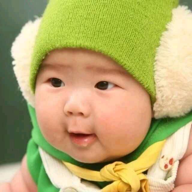 莲