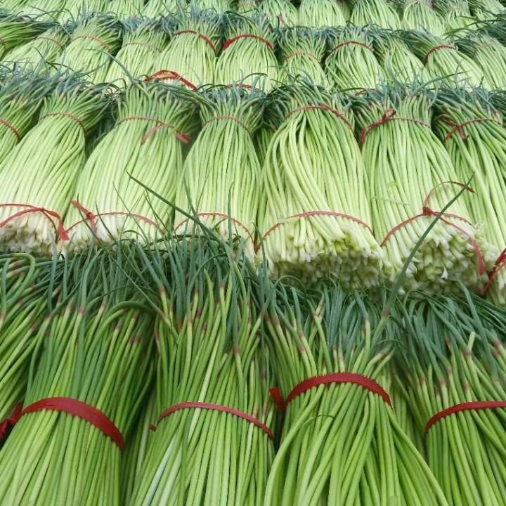 社会你南哥，哥的世界你不懂