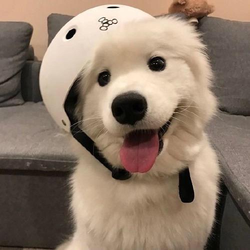 卢晓慧