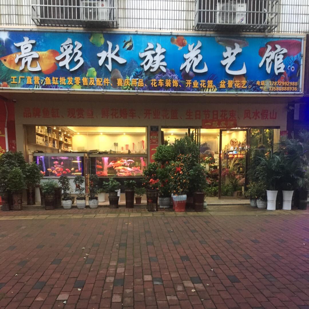 亮彩水族花艺馆（祁阳市）