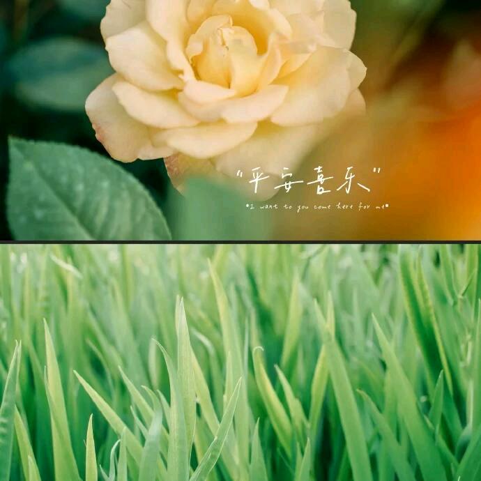 小石头PK小雨花
