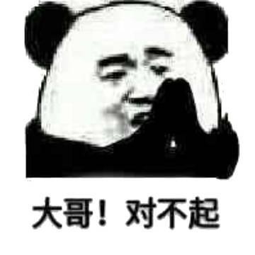 炅哆哆义乌市炅炅贸易有限公司宠物用品专卖店