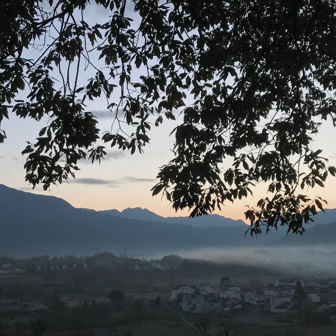 小白菜（不私聊）