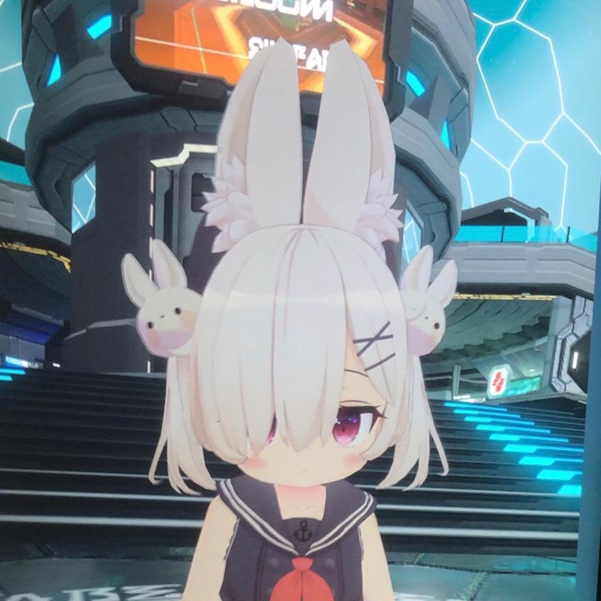 一坨小兔兔