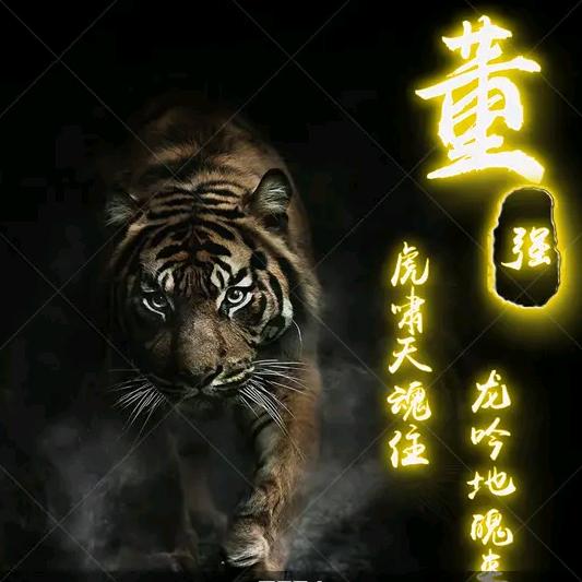 🐅二叔
