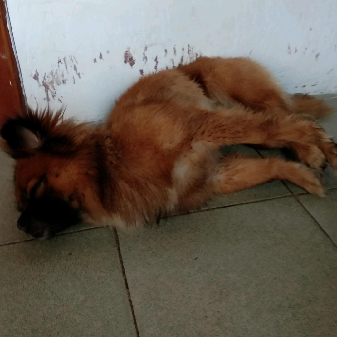 美好心覃