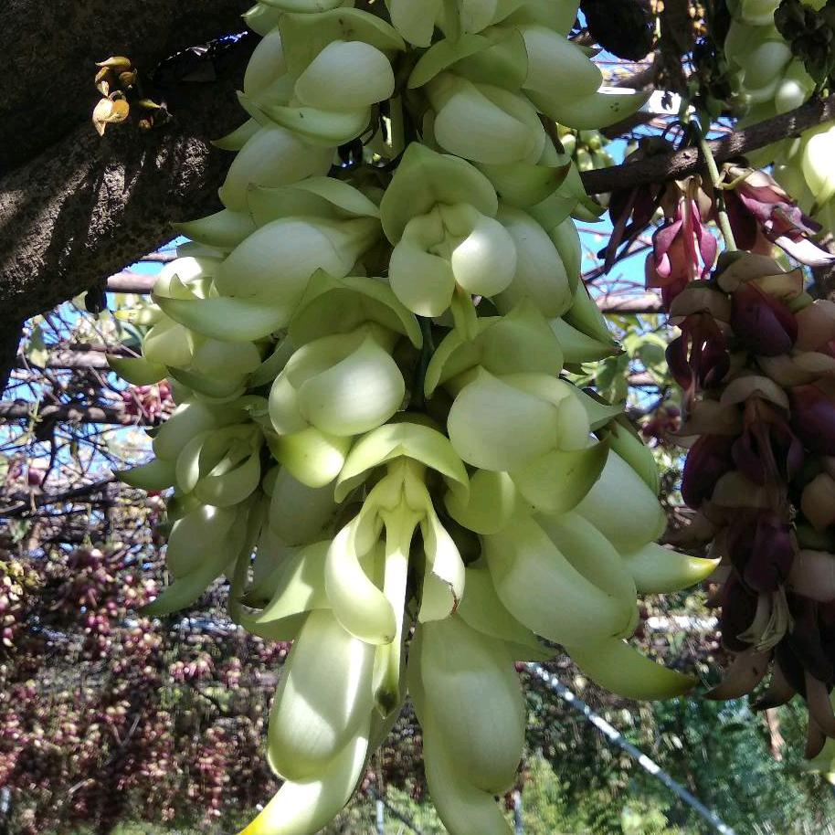 Wilson辉一些事一些情