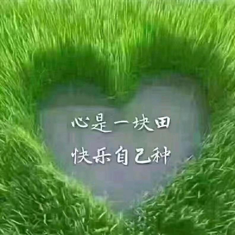 春风十里，不如有你