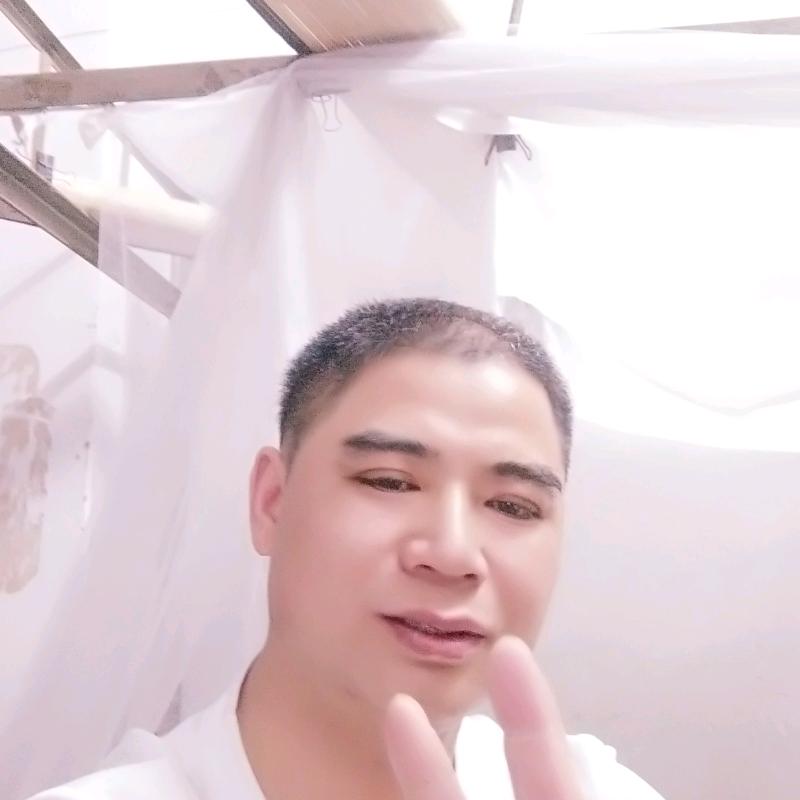 小马哥