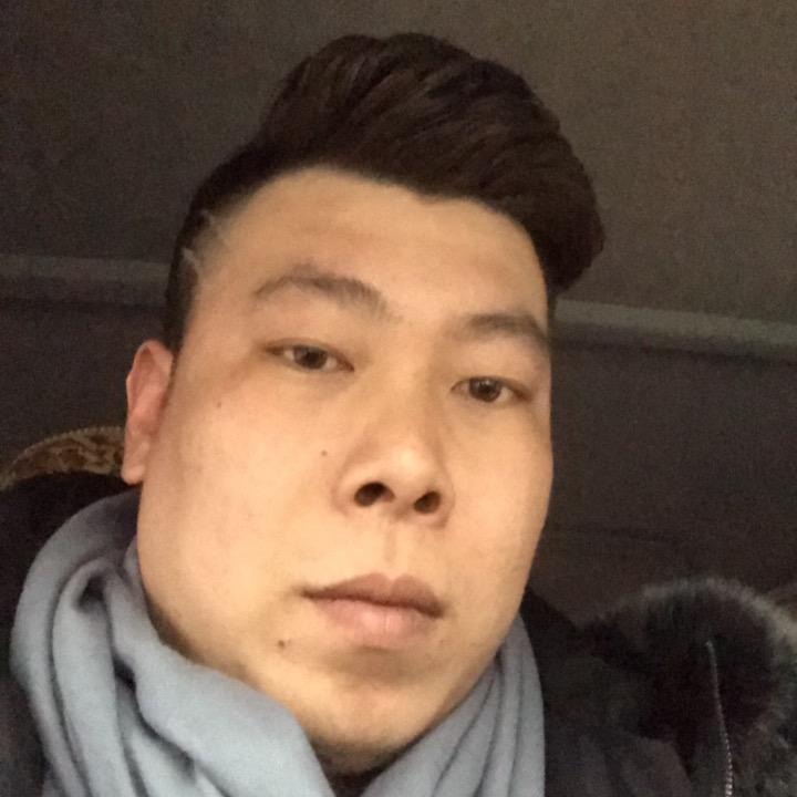 ☕飞鸽传说