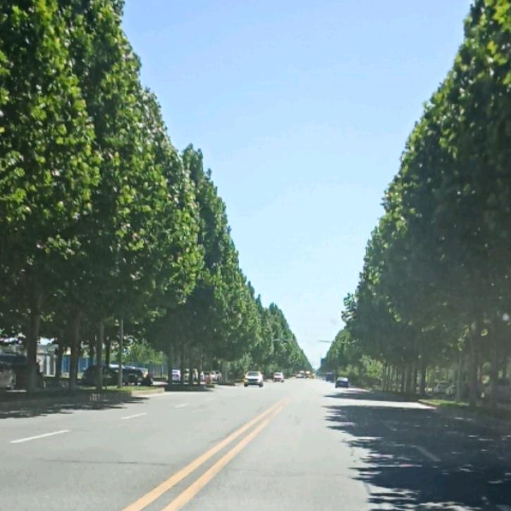 印刷包装行业胶水耗材