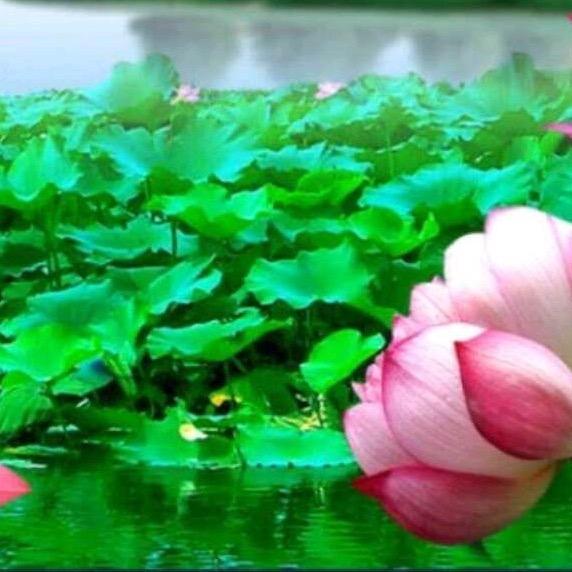 财神爷保佑🙏我生意兴隆，